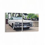 Olla 12394K2Y Araç Görseli Kare 2'li Yatay Kanvas Tablo (Ölçü: 125X60)