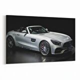 Olla 12227Y Araç Görseli Yatay Kanvas Tablo (Ölçü: 90X60)