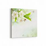 Olla 11675K Orkide Çiçek Görseli Kare Kanvas Tablo (Ölçü: 60X60)