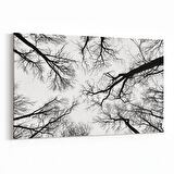 Olla 10943Y Ağaç Görseli Yatay Kanvas Tablo (Ölçü: 70X50)