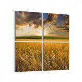 Olla 14569K4 Doğa / Manzara Görseli Kare 4'lü Kanvas Tablo (Ölçü: 65X65)