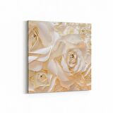 Olla 11582K Çiçek Görseli Kare Kanvas Tablo (Ölçü: 60X60)