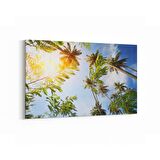 Olla 11497Y Palmiye Ağacı Görseli Yatay Kanvas Tablo (Ölçü: 120X80)