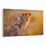 Olla 12676Y Hayvanlar Alemi Görseli Yatay Kanvas Tablo (Ölçü: 90X60)