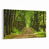 Olla 14276Y Doğa / Manzara Görseli Yatay Kanvas Tablo (Ölçü: 45X30)