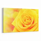 Olla 11592Y Çiçek Görseli Yatay Kanvas Tablo (Ölçü: 120X80)