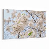 Olla 10573Y Ağaç Görseli Yatay Kanvas Tablo (Ölçü: 70X50)