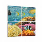 Olla 12208K4 Akvaryum / Balık Görseli Kare 4'lü Kanvas Tablo (Ölçü: 145X145)