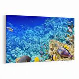 Olla 12124Y Akvaryum / Balık Görseli Yatay Kanvas Tablo (Ölçü: 150X100)