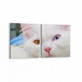 Olla 12636K2Y Hayvanlar Alemi Görseli Kare 2'li Yatay Kanvas Tablo (Ölçü: 145X70)