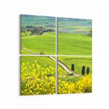 Olla 14007K4 Doğa / Manzara Görseli Kare 4'lü Kanvas Tablo (Ölçü: 145X145)