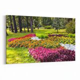 Olla 13334Y Doğa / Manzara Görseli Yatay Kanvas Tablo (Ölçü: 150X100)