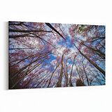 Olla 10768Y Ağaç Görseli Yatay Kanvas Tablo (Ölçü: 90X60)