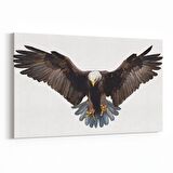 Olla 12592Y Hayvanlar Alemi Görseli Yatay Kanvas Tablo (Ölçü: 70X50)