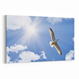 Olla 15885Y Gökyüzü Kuşlar Görseli Yatay Kanvas Tablo (Ölçü: 150X100)