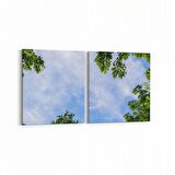 Olla 10862K2Y Ağaç Görseli Kare 2'li Yatay Kanvas Tablo (Ölçü: 65X30)