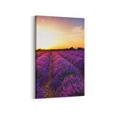 Olla 16002D Günbatımı Görseli Dikey Kanvas Tablo (Ölçü: 70X105)