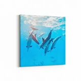 Olla 12865K Deniz / Okyanus Görseli Kare Kanvas Tablo (Ölçü: 100X100)