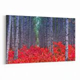 Olla 13561Y Doğa / Manzara Görseli Yatay Kanvas Tablo (Ölçü: 30X20)