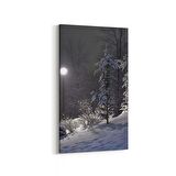 Olla 14217DD Doğa / Manzara Görseli Dikey Dar Kanvas Tablo (Ölçü: 40X80)