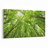 Olla 10778Y Ağaç Görseli Yatay Kanvas Tablo (Ölçü: 120X80)