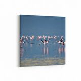 Olla 13427K Doğa / Manzara Görseli Kare Kanvas Tablo (Ölçü: 100X100)