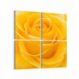 Olla 11648K4 Çiçek Görseli Kare 4'lü Kanvas Tablo (Ölçü: 65X65)