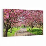 Olla 13550Y Doğa / Manzara Görseli Yatay Kanvas Tablo (Ölçü: 45X30)