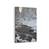 Olla 14140D Doğa / Manzara Görseli Dikey Kanvas Tablo (Ölçü: 60X90)