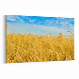 Olla 13799Y Doğa / Manzara Görseli Yatay Kanvas Tablo (Ölçü: 90X60)