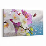 Olla 11663Y Orkide Çiçek Görseli Yatay Kanvas Tablo (Ölçü: 45X30)