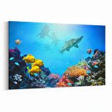 Olla 12089Y Akvaryum / Balık Görseli Yatay Kanvas Tablo (Ölçü: 150X100)