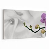 Olla 11673Y Orkide Çiçek Görseli Yatay Kanvas Tablo (Ölçü: 150X100)