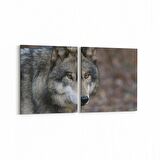 Olla 12585K2Y Hayvanlar Alemi Görseli Kare 2'li Yatay Kanvas Tablo (Ölçü: 65X30)