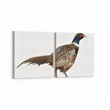 Olla 12461K2Y Hayvanlar Alemi Görseli Kare 2'li Yatay Kanvas Tablo (Ölçü: 65X30)