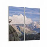 Olla 13218K4 Doğa / Manzara Görseli Kare 4'lü Kanvas Tablo (Ölçü: 105X105)