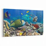 Olla 12098Y Akvaryum / Balık Görseli Yatay Kanvas Tablo (Ölçü: 45X30)