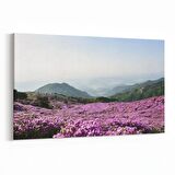 Olla 14397Y Doğa / Manzara Görseli Yatay Kanvas Tablo (Ölçü: 45X30)