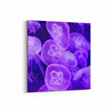 Olla 12872K Deniz / Okyanus Görseli Kare Kanvas Tablo (Ölçü: 100X100)