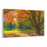 Olla 13980Y Doğa / Manzara Görseli Yatay Kanvas Tablo (Ölçü: 70X50)