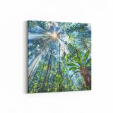 Olla 13682K Doğa / Manzara Görseli Kare Kanvas Tablo (Ölçü: 30X30)