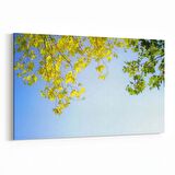 Olla 10864Y Ağaç Görseli Yatay Kanvas Tablo (Ölçü: 45X30)