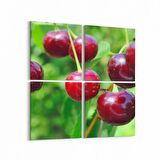 Olla 15303K4 Gıda Görseli Kare 4'lü Kanvas Tablo (Ölçü: 65X65)