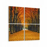 Olla 14026K4 Doğa / Manzara Görseli Kare 4'lü Kanvas Tablo (Ölçü: 125X125)