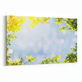 Olla 10476Y Ağaç Görseli Yatay Kanvas Tablo (Ölçü: 150X100)