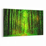 Olla 14469Y Doğa / Manzara Görseli Yatay Kanvas Tablo (Ölçü: 45X30)