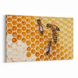 Olla 12615Y Hayvanlar Alemi Görseli Yatay Kanvas Tablo (Ölçü: 90X60)