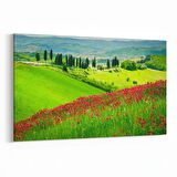 Olla 13361Y Doğa / Manzara Görseli Yatay Kanvas Tablo (Ölçü: 70X50)