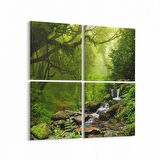 Olla 13737K4 Doğa / Manzara Görseli Kare 4'lü Kanvas Tablo (Ölçü: 145X145)