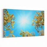 Olla 10520Y Ağaç Görseli Yatay Kanvas Tablo (Ölçü: 30X20)